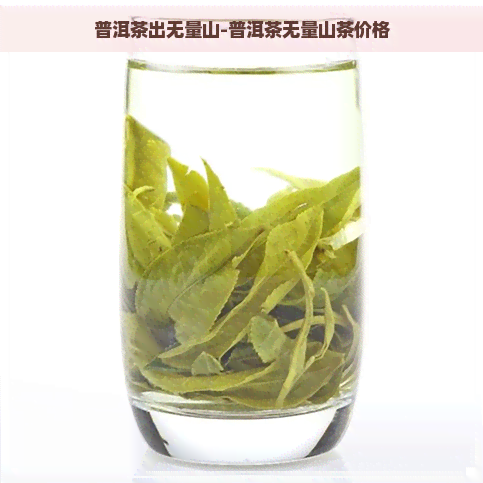 普洱茶出无量山-普洱茶无量山茶价格