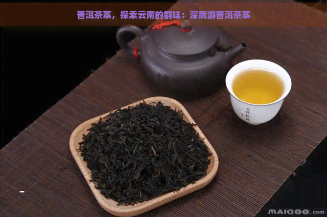 普洱茶寨，探索云南的韵味：深度游普洱茶寨