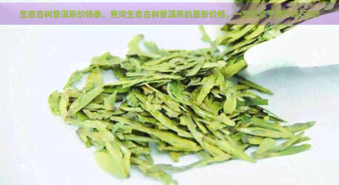 生态古树普洱茶价格表，查询生态古树普洱茶的最新价格，一文带你了解市场行情！