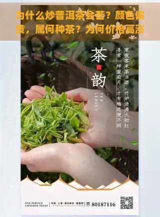 为什么炒普洱茶会苦？颜色偏黄，属何种茶？为何价格高涨？