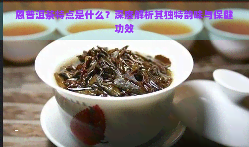 恩普洱茶特点是什么？深度解析其独特韵味与保健功效