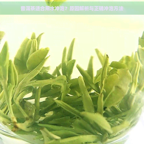 普洱茶适合用水冲泡？原因解析与正确冲泡方法