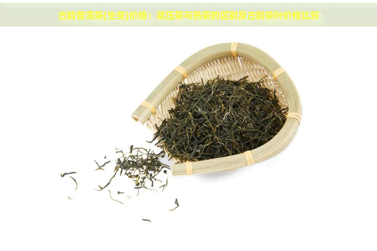 古韵普洱茶(生茶)价格：紧压茶与熟茶的区别及古韵茶叶价格比较