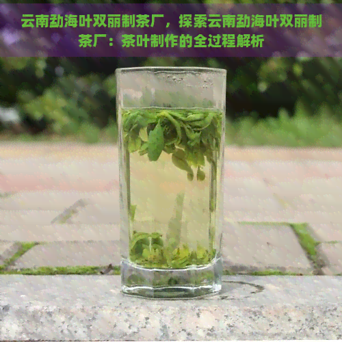 云南勐海叶双丽制茶厂，探索云南勐海叶双丽制茶厂：茶叶制作的全过程解析