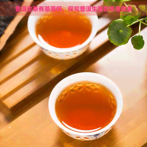 普洱生茶有茶毫吗，探究普洱生茶的茶毫现象