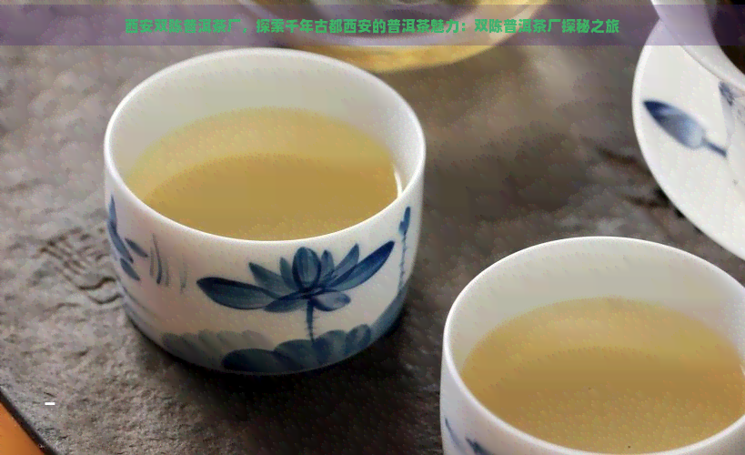 西安双陈普洱茶厂，探索千年古都西安的普洱茶魅力：双陈普洱茶厂探秘之旅