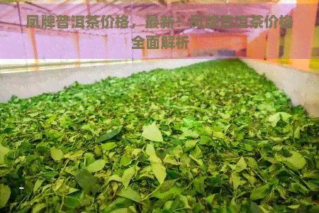 凤牌普洱茶价格，最新！凤牌普洱茶价格全面解析