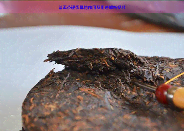 普洱茶理条机的作用及用途解析视频