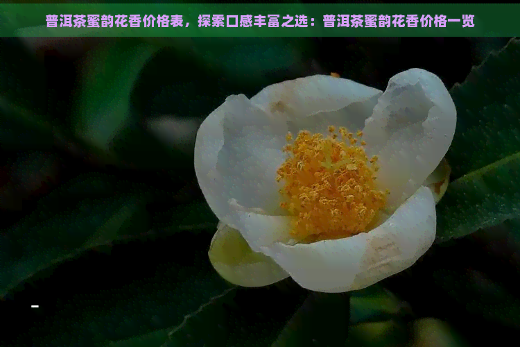 普洱茶蜜韵花香价格表，探索口感丰富之选：普洱茶蜜韵花香价格一览