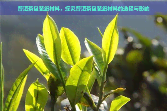 普洱茶包装纸材料，探究普洱茶包装纸材料的选择与影响