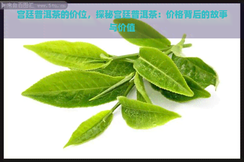 宫廷普洱茶的价位，探秘宫廷普洱茶：价格背后的故事与价值