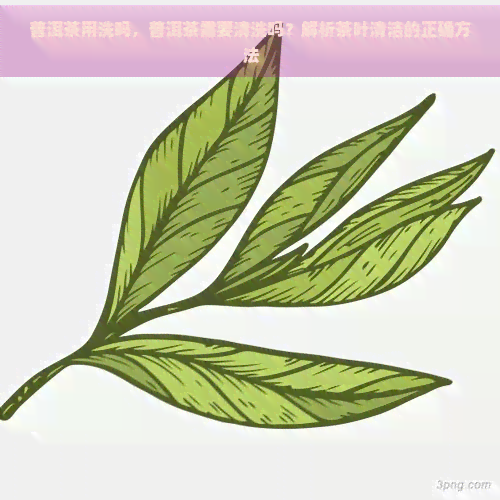 普洱茶用洗吗，普洱茶需要清洗吗？解析茶叶清洁的正确方法