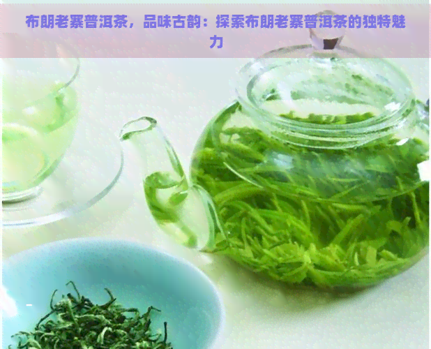 布朗老寨普洱茶，品味古韵：探索布朗老寨普洱茶的独特魅力