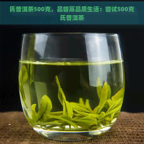 氏普洱茶500克，品尝高品质生活：尝试500克氏普洱茶