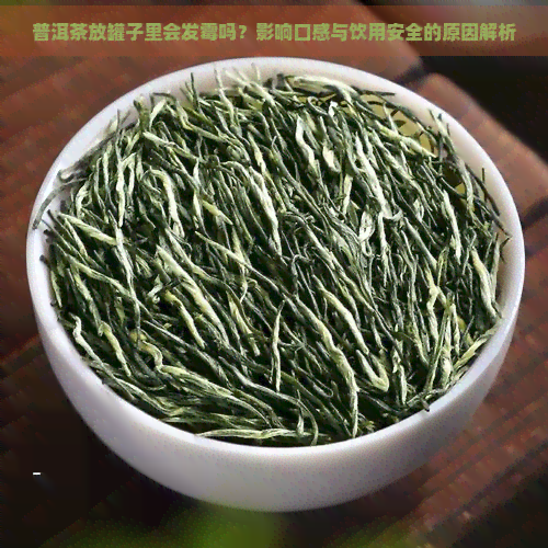 普洱茶放罐子里会发霉吗？影响口感与饮用安全的原因解析