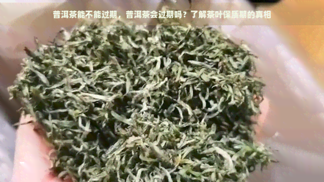 普洱茶能不能过期，普洱茶会过期吗？了解茶叶保质期的真相