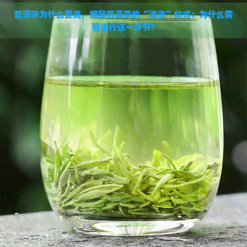 普洱茶为什么要洗，揭秘普洱茶的“清洗”仪式：为什么需要进行这一环节？