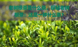 老树根茶是什么茶，探秘老树根茶：这是一种什么茶？