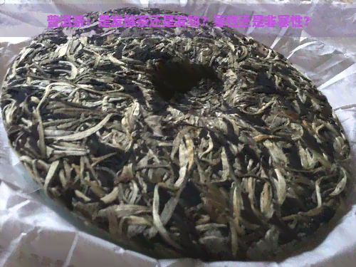 普洱茶：是发酵茶还是发物？寒性还是非寒性？