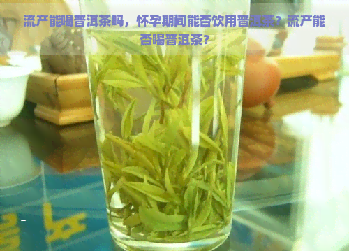 流产能喝普洱茶吗，怀孕期间能否饮用普洱茶？流产能否喝普洱茶？