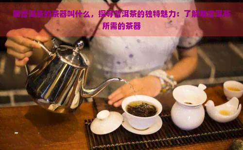 喝普洱茶的茶器叫什么，探寻普洱茶的独特魅力：了解喝普洱茶所需的茶器