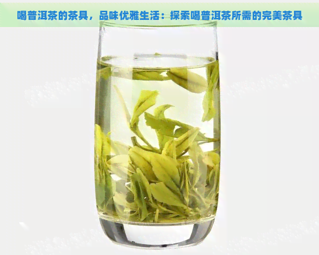 喝普洱茶的茶具，品味优雅生活：探索喝普洱茶所需的完美茶具