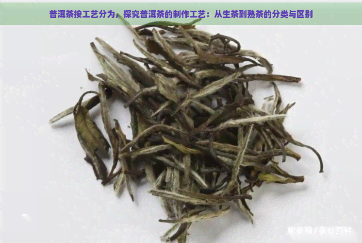 普洱茶按工艺分为，探究普洱茶的制作工艺：从生茶到熟茶的分类与区别