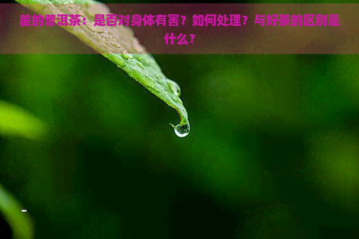 差的普洱茶：是否对身体有害？如何处理？与好茶的区别是什么？