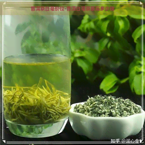 普洱茶白毫价位-普洱白毫茶更高多少钱