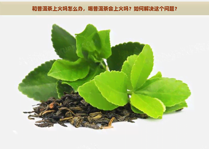 和普洱茶上火吗怎么办，喝普洱茶会上火吗？如何解决这个问题？