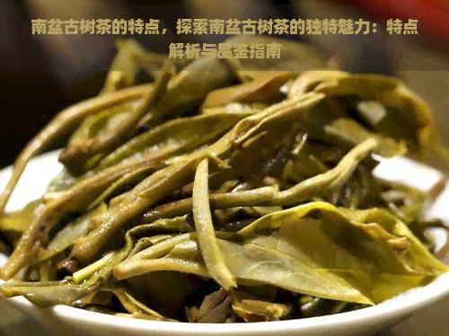 南盆古树茶的特点，探索南盆古树茶的独特魅力：特点解析与品鉴指南