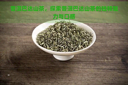 普洱巴达山茶，探索普洱巴达山茶的独特魅力与口感