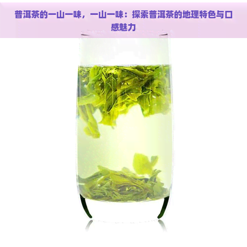 普洱茶的一山一味，一山一味：探索普洱茶的地理特色与口感魅力