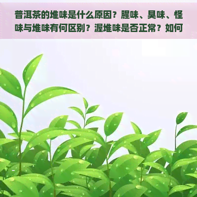 普洱茶的堆味是什么原因？腥味、臭味、怪味与堆味有何区别？渥堆味是否正常？如何处理堆味重的情况？