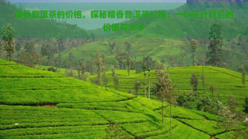 糯香普洱茶的价格，探秘糯香普洱茶价格：一份茶叶背后的价值与故事