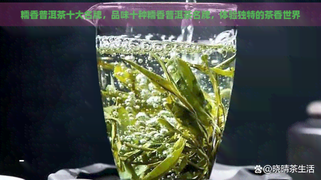 糯香普洱茶十大名牌，品味十种糯香普洱茶名牌，体验独特的茶香世界