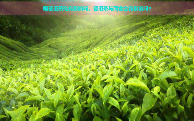 喝普洱茶吃有影响吗，普洱茶与同食会有影响吗？