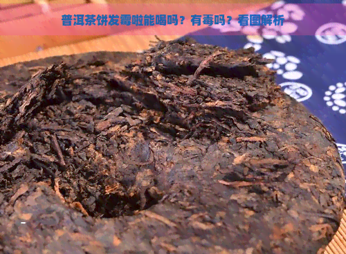 普洱茶饼发霉啦能喝吗？有吗？看图解析