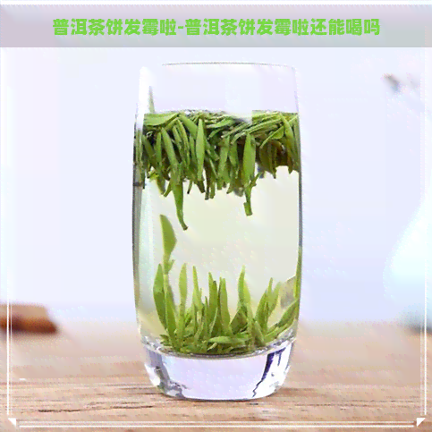 普洱茶饼发霉啦-普洱茶饼发霉啦还能喝吗