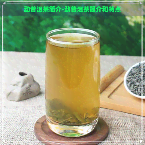 勐普洱茶简介-勐普洱茶简介和特点