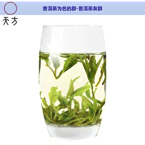 普洱茶为名的群-普洱茶友群