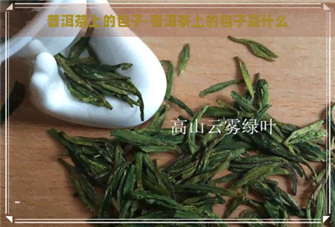 普洱茶上的包子-普洱茶上的包子是什么