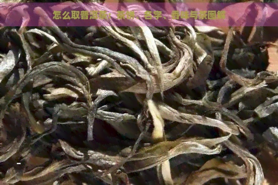 怎么取普洱茶：茶饼、名字、香味与茶图解