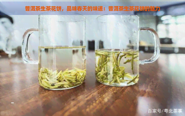 普洱茶生茶花饼，品味春天的味道：普洱茶生茶花饼的魅力