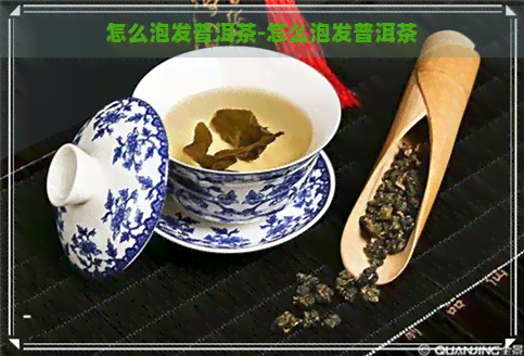 怎么泡发普洱茶-怎么泡发普洱茶