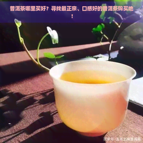 普洱茶哪里买好？寻找最正宗、口感好的普洱茶购买地！