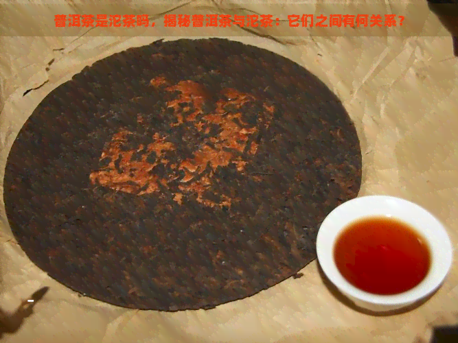 普洱茶是沱茶吗，揭秘普洱茶与沱茶：它们之间有何关系？