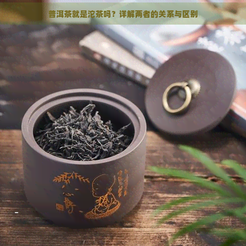 普洱茶就是沱茶吗？详解两者的关系与区别