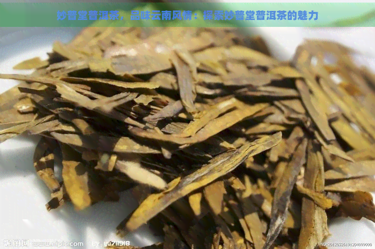 妙普堂普洱茶，品味云南风情：探索妙普堂普洱茶的魅力