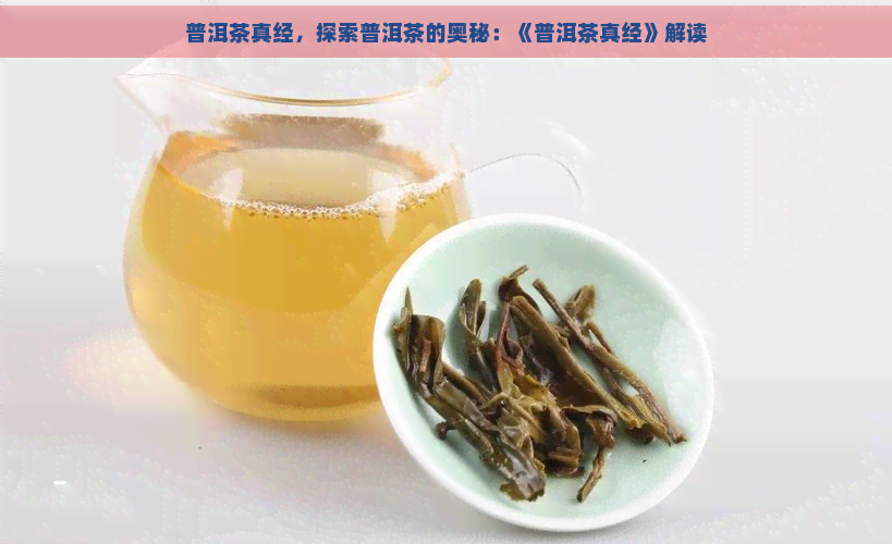 普洱茶真经，探索普洱茶的奥秘：《普洱茶真经》解读